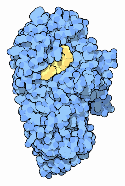 Nitrate reductase.gif