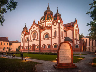 Subotička sinagoga spolja