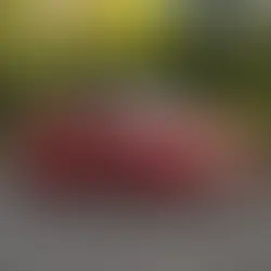 Toyota 美製「Camry」將以右駕規格導入、「Highlander」與「Tundra」則於4月先行於日本市場開賣！