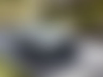 Layback 追加 S:HEV、SI DRIVE 系統升級!Subaru Levorg/Levorg Layback 發表新年式樣車型