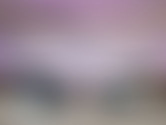 升級TAKUMI匠人皮革座椅裱材及雙前座通風座椅，NISSAN KICKS & SENTRA SAKURA 特別式樣車發表！