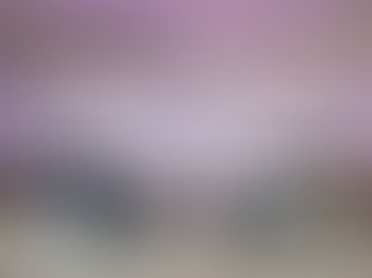 升級TAKUMI匠人皮革座椅裱材及雙前座通風座椅，NISSAN KICKS & SENTRA SAKURA 特別式樣車發表！