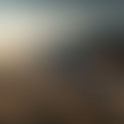 史上性能最強大！Toyota LAND CRUISER 300 HEV 高性能油電版本於部分歐洲市場推出