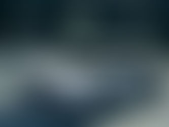 Honda 正式宣佈導入美國製乘用車！ACURA INTEGRA 與 PASSPORT 將於2026 年後半起 陸續發售