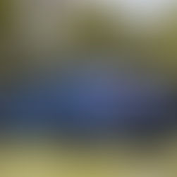 台灣福斯汽車與格上租車共推「德藝旅藏」長租專案5/31前長租選擇Golf Variant、Passat享三重禮遇