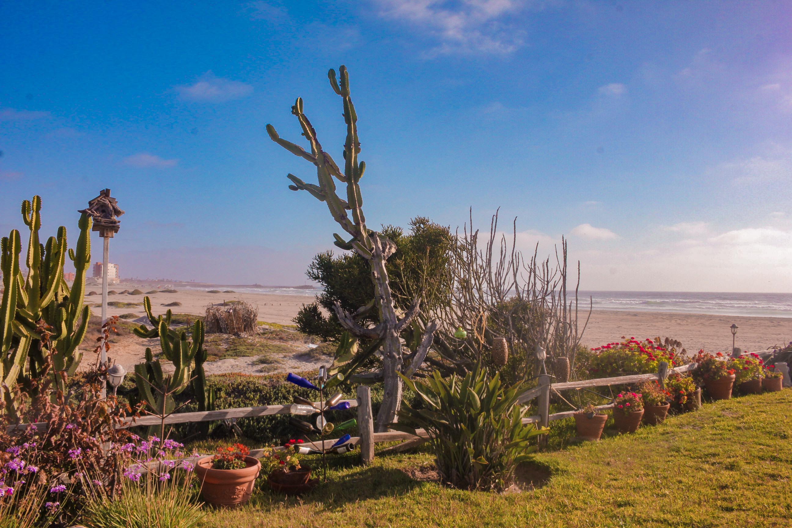 Baja Seasons Resort RV Park