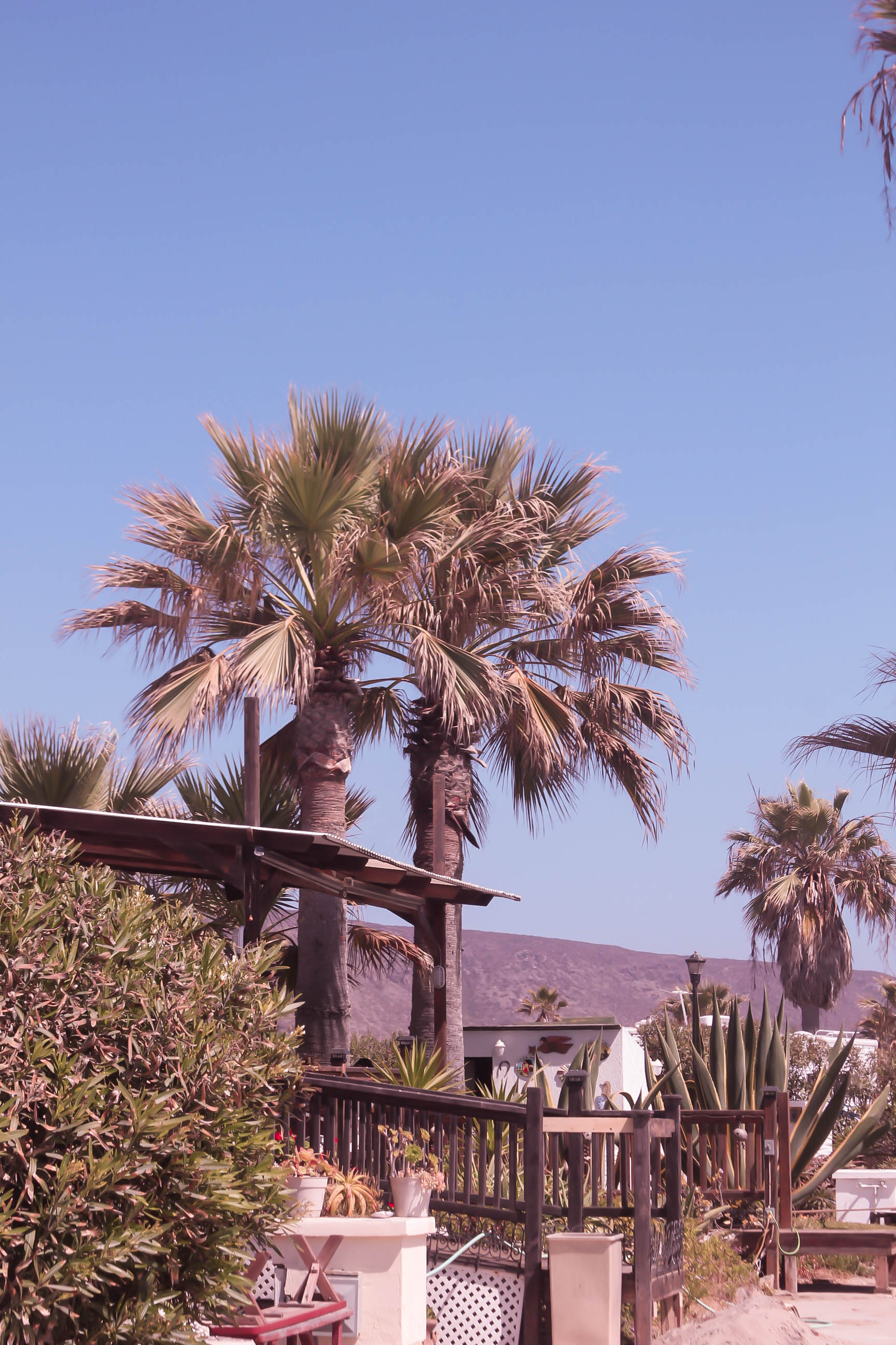 Baja Seasons Resort RV Park