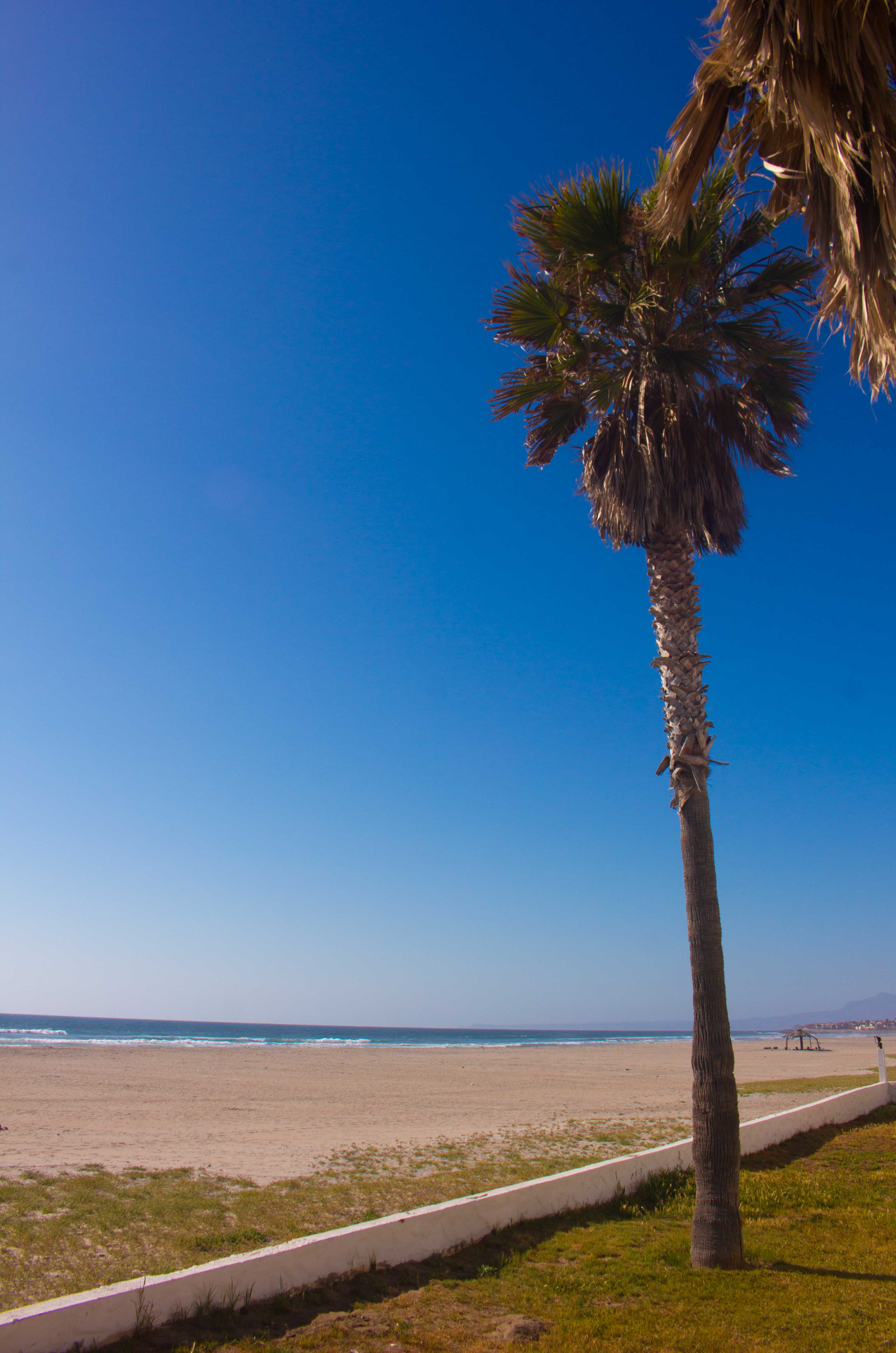 Baja Seasons Resort Camping