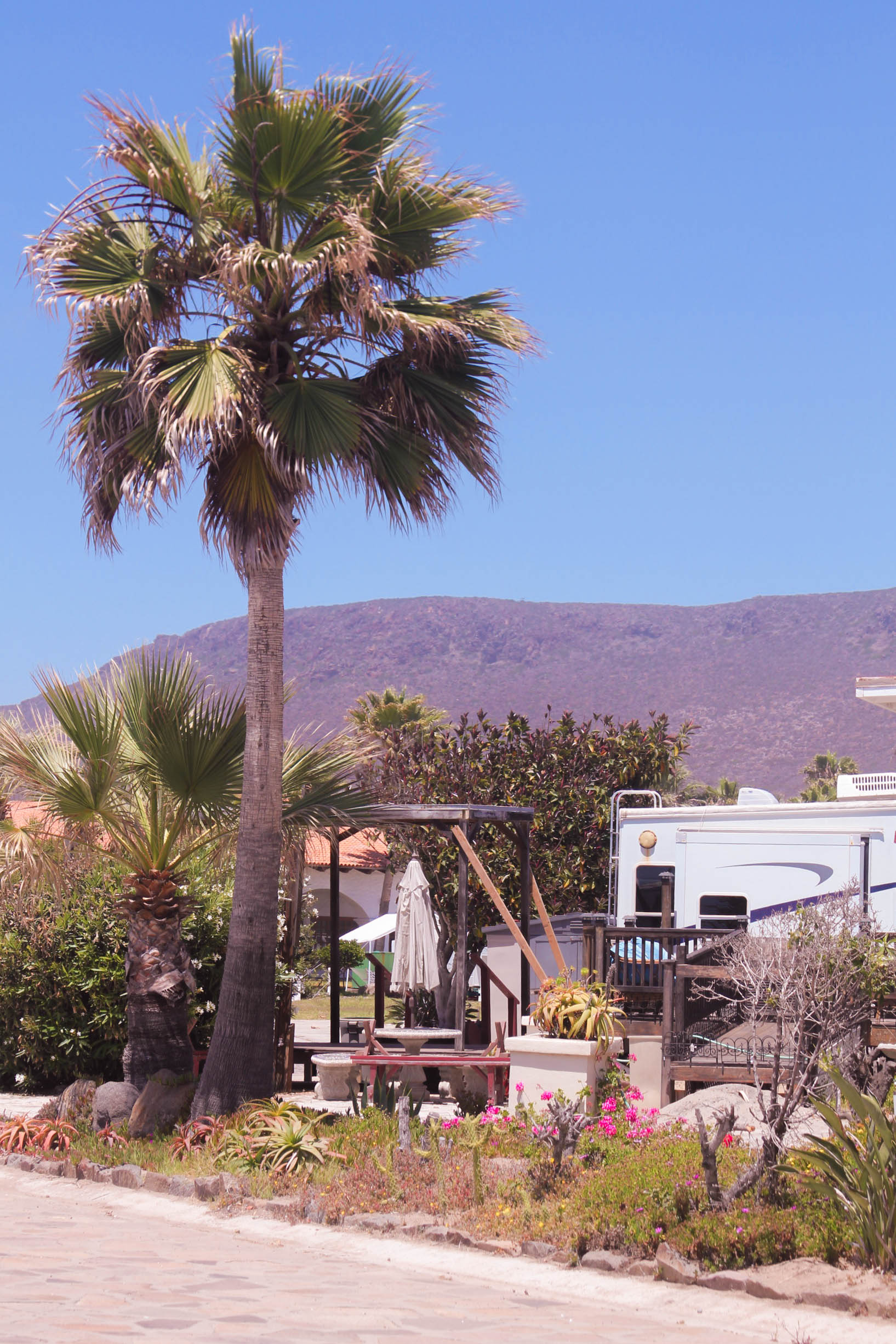 Baja Seasons Resort RV Park