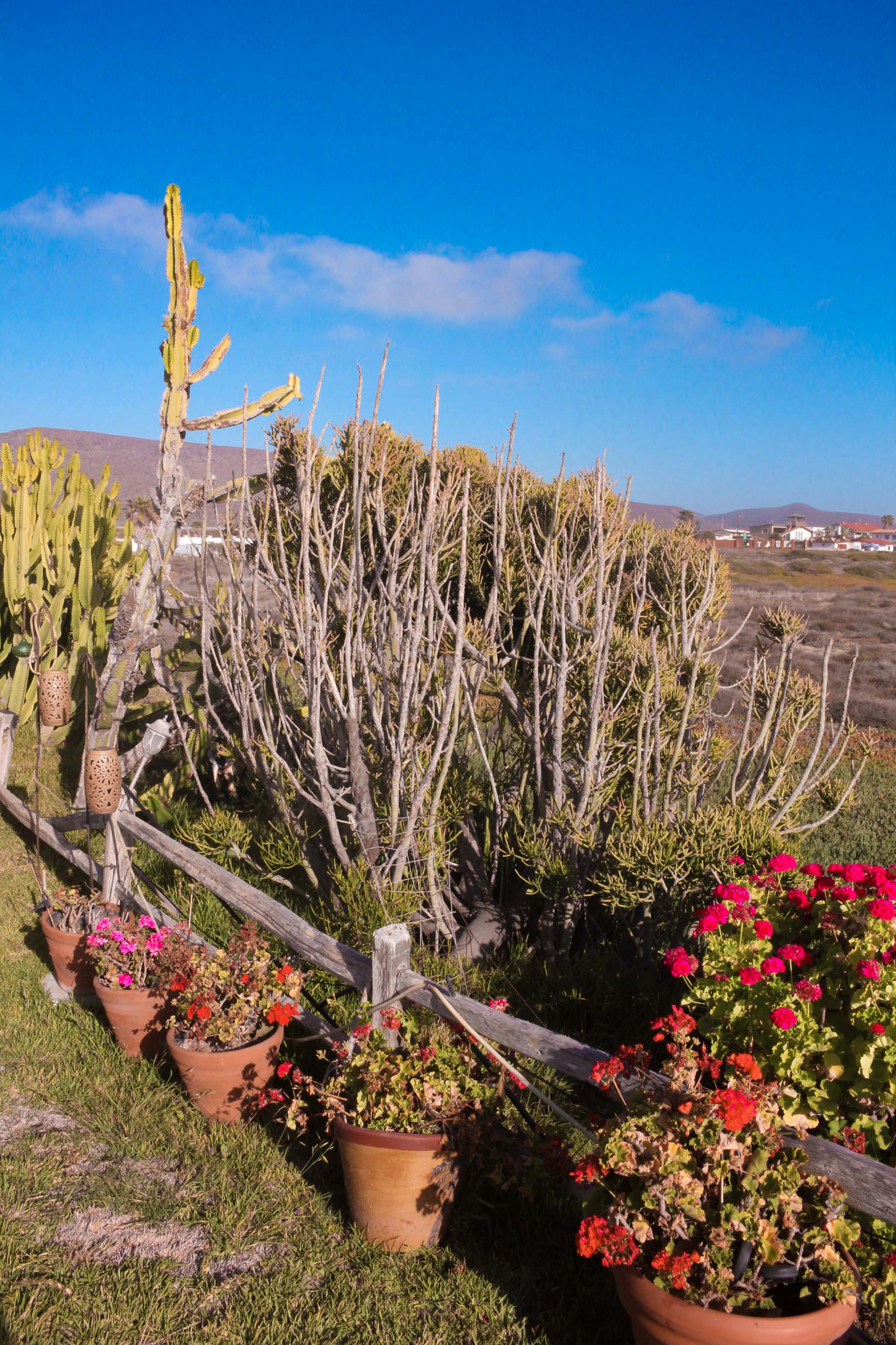 Baja Seasons Resort RV Park