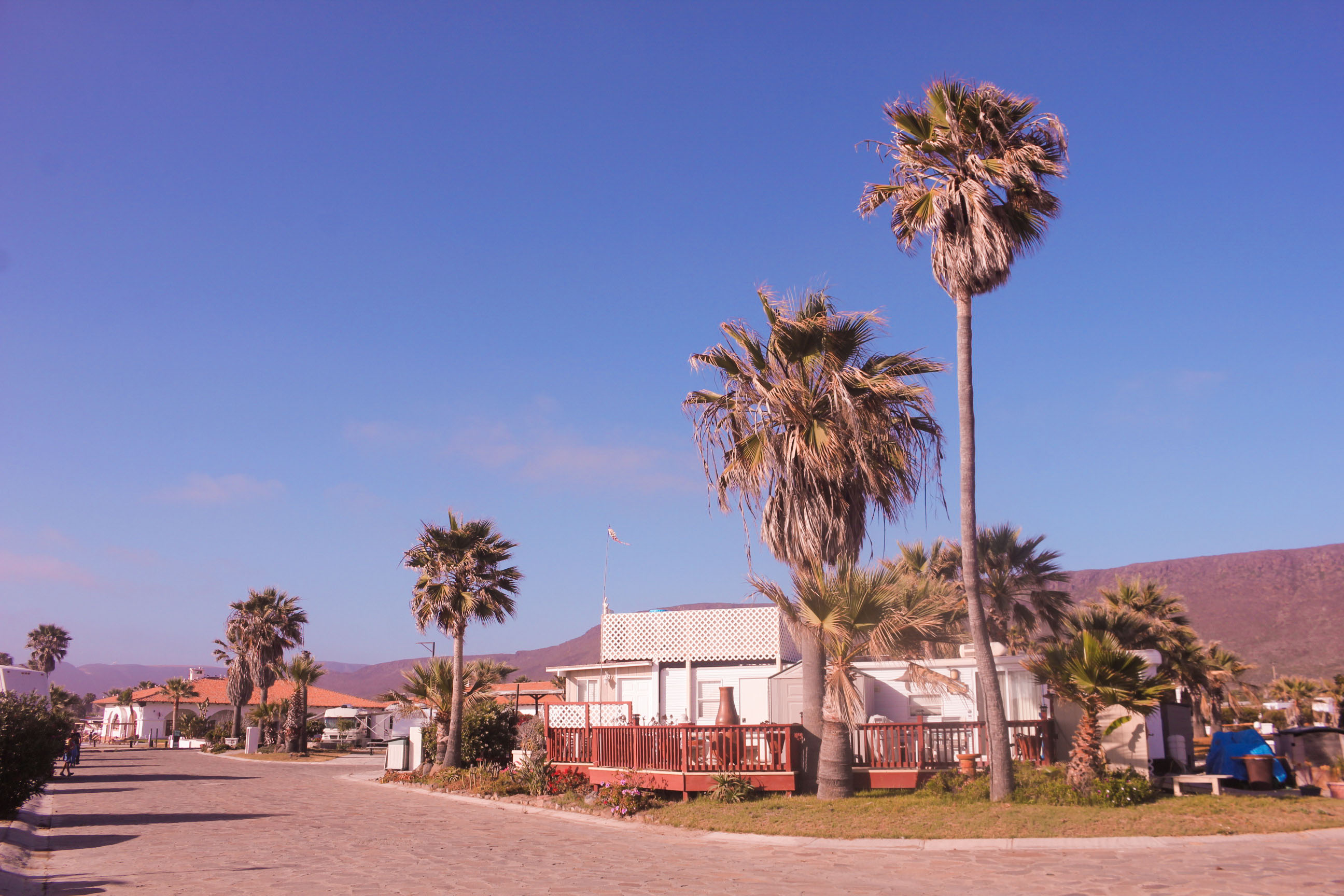 Baja Seasons Resort RV Park10 copy
