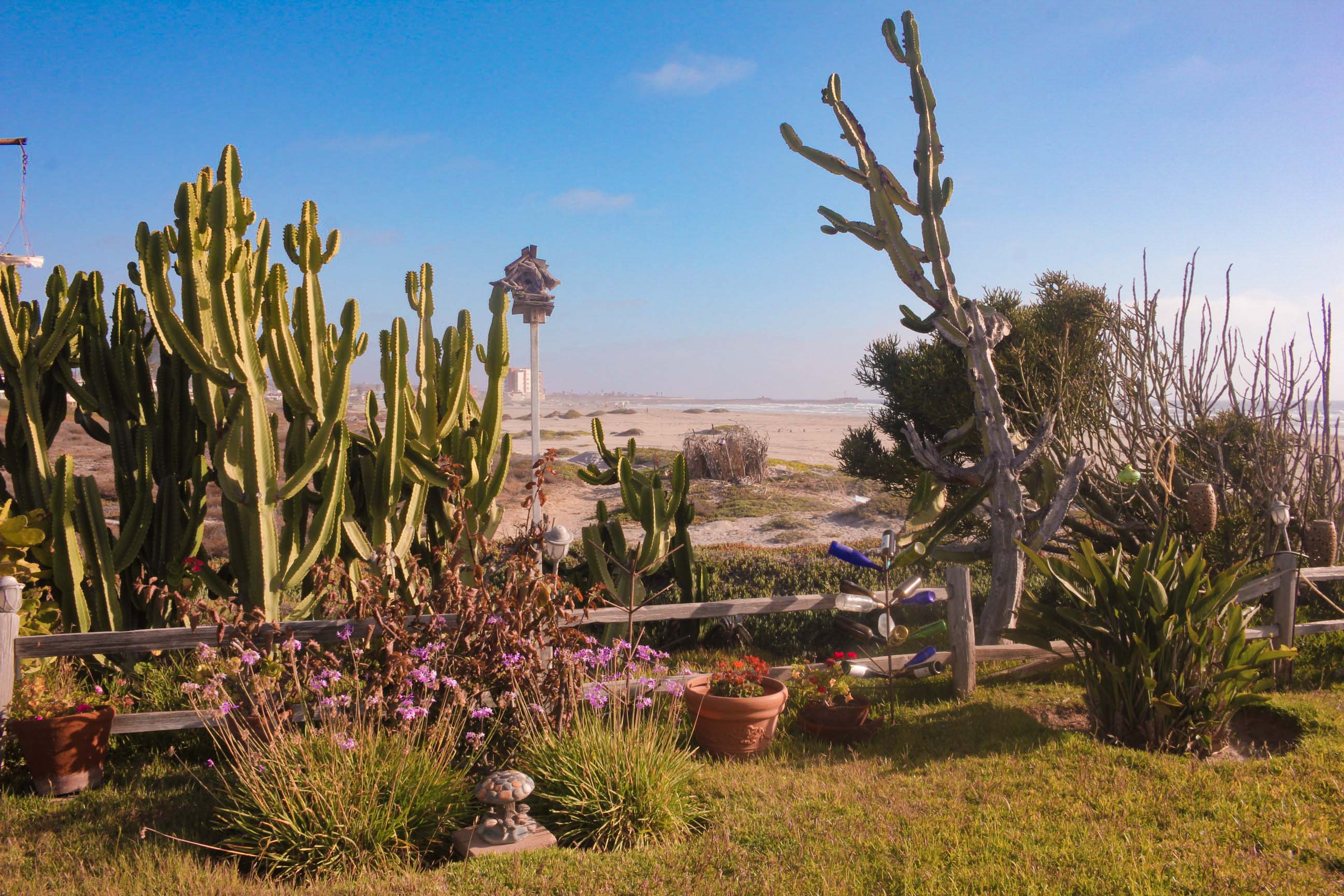Baja Seasons Resort RV Park
