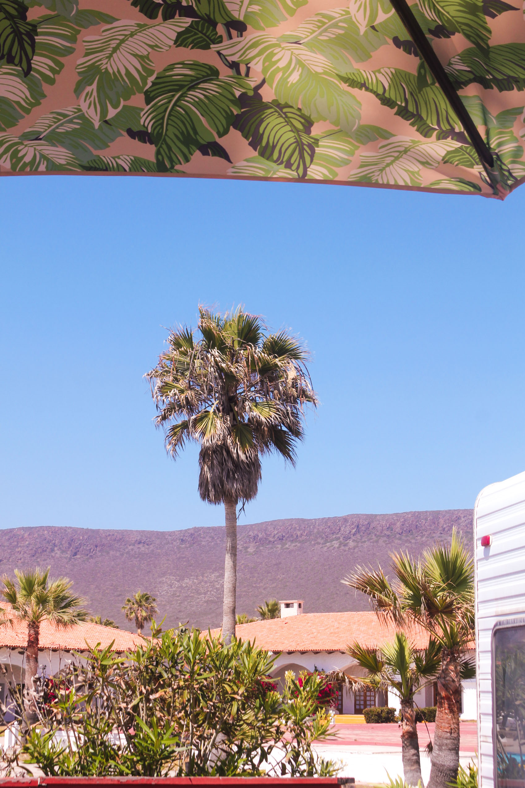 Baja Seasons Resort RV Park59