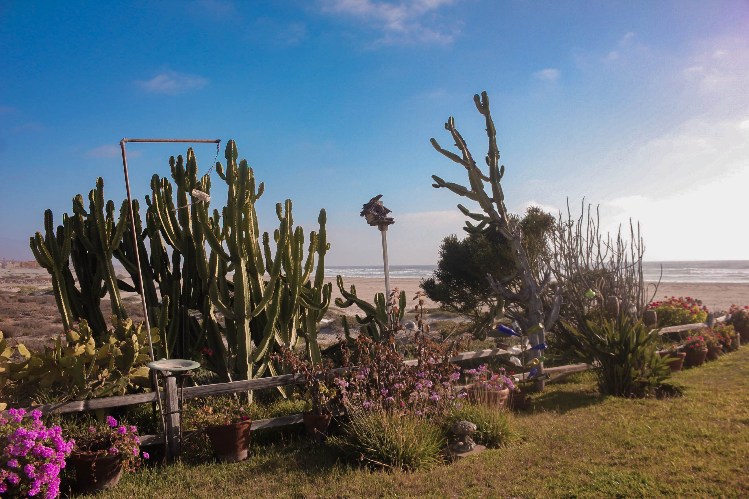 Baja Seasons Resort RV Park
