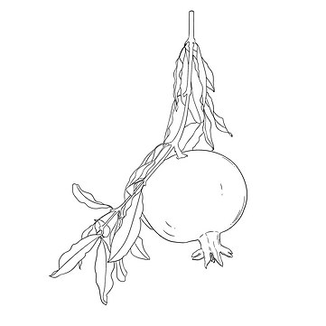 Untitled_Artwork (43).png