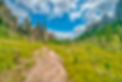 Screenshot_20260427_121501_Google.jpg
