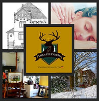 Villa Eulenburg Schleswig 1886-2019 - Kopie.jpg