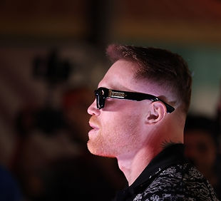 CaneloAlvarez360.jfif