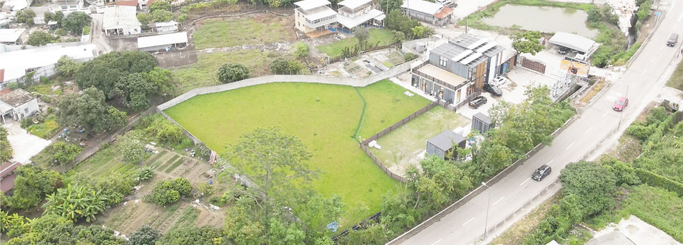 Drone view of the Pawties