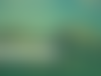 How Bond Yields and the Bank of Canada Shape Mortgage Rates