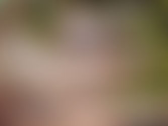 Cómo decorar tu jardín este verano