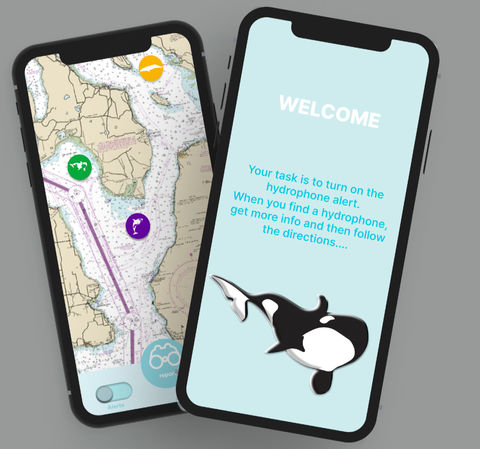 UX, UI, user interfacer, user experience, app design, web design, application, iphone, whale, whaler alert, hydrophone, sunset beach hydrophone, orca, puget sound, salish sea, navigation, whale safe