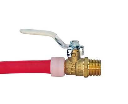 exterior reno (2).png