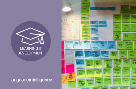 How We’re Different: Explaining the Details of Our eLearning Translation Services