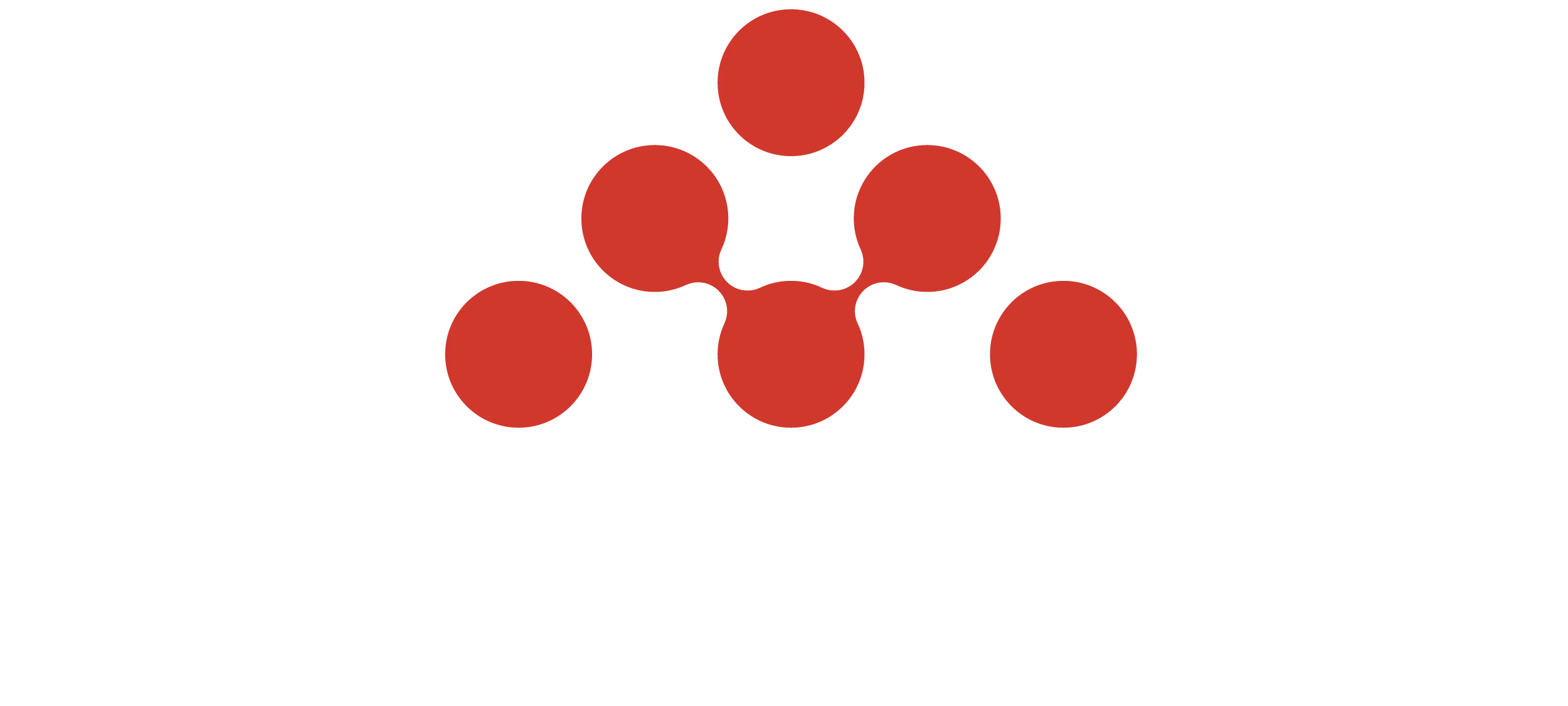 amprius-logo-white.png.webp