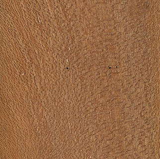 Borneo Mahogany.jpg