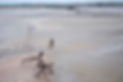 DSCF5917.jpg