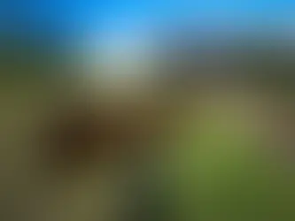 DECISÃO DO STJ SOBRE MOTIVAÇÃO NA CORREÇÃO DA PROVA DE SENTENÇA EM CONCURSOS DA MAGISTRATURA