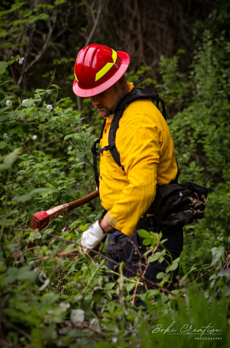 Wildland Fire Training 