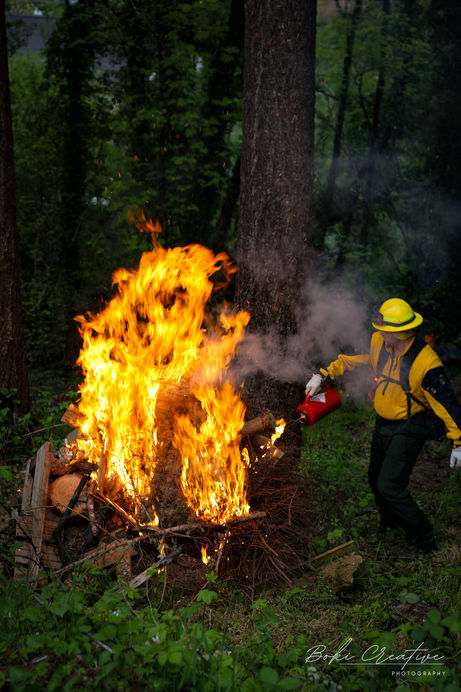 Wildland Fire Training 