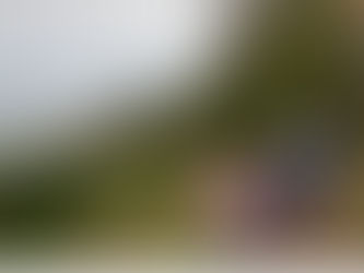 Parking fee waived at Oregon State Parks Nov. 29 for annual Green Friday event