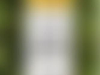 Back To School - LCSO Tip Of The Week