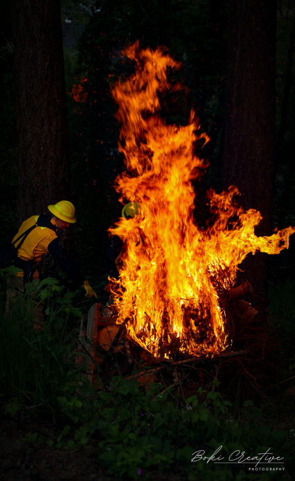 Wildland Fire Training 