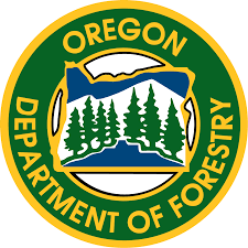 Tillamook Forest Road Closures