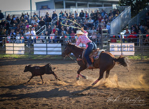 Lincoln Co Rodeo - 2026
