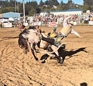 Lincoln County fair and Rodeo