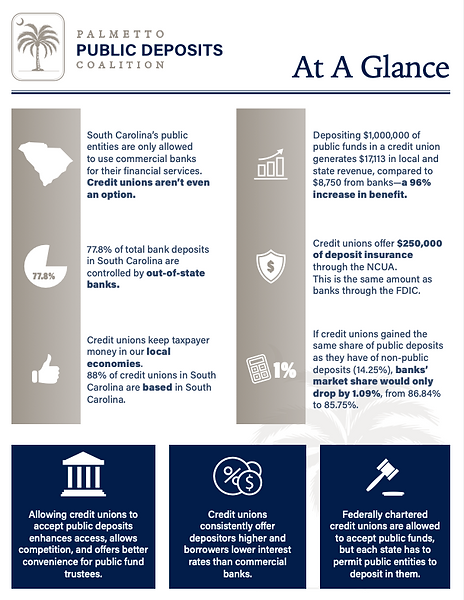 PPDC At A Glance v.2.png