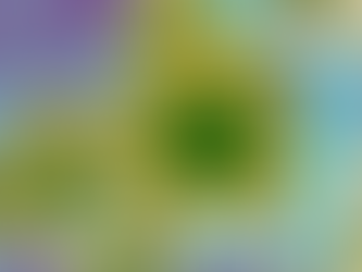 Special Update - COVID-19