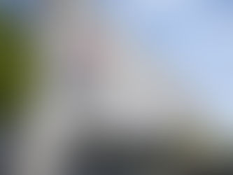 Charleston School Board member Michele Leber accused of domestic violence; being investigated by DSS