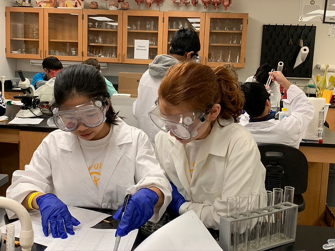 A classroom of students using microscopes