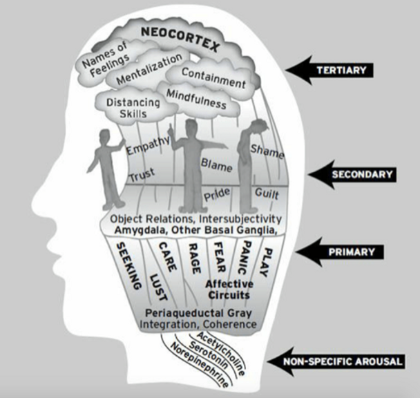 Affective circuits.PNG