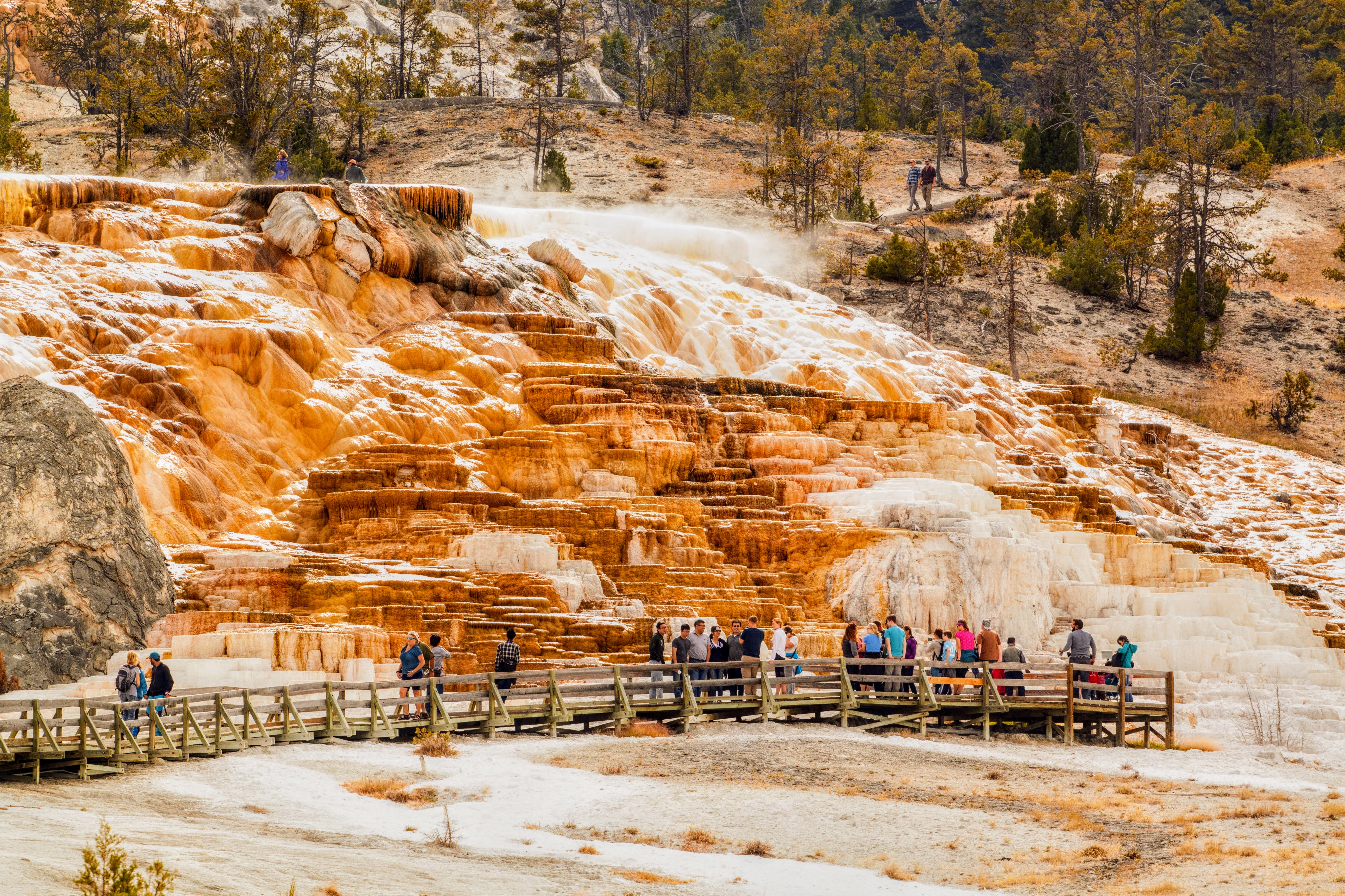 Yellowstone National Park