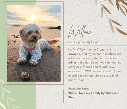 Willow.png