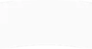 bg.webp