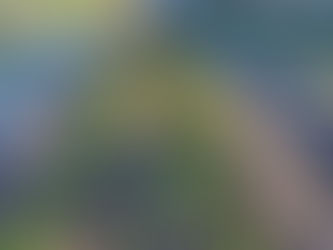 New methods thanks to Alexandros from Livada farm (Andros island)