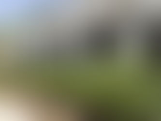 בין ליטוש פרקטים לדקים: האם בניית בית מעץ מלא משתלמת?